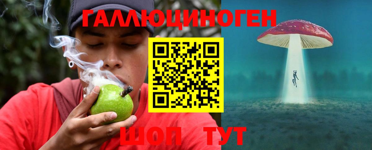Псилоцибиновые грибы Psilocybe  как найти   Малоярославец  Вход с VPN 