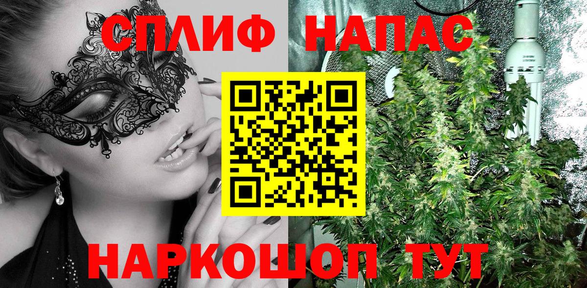 Бошки Шишки Ganja  Каннабис White Widow  Бошки марихуана тримм  Вход с VPN  Малоярославец 